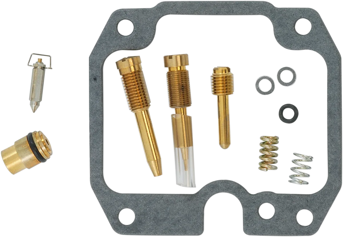 Carburetor Repair Kit