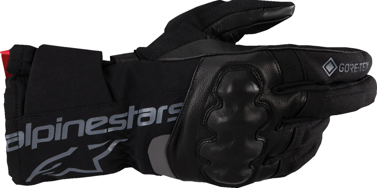 WT-4 Gore-Tex® Insulated Gloves