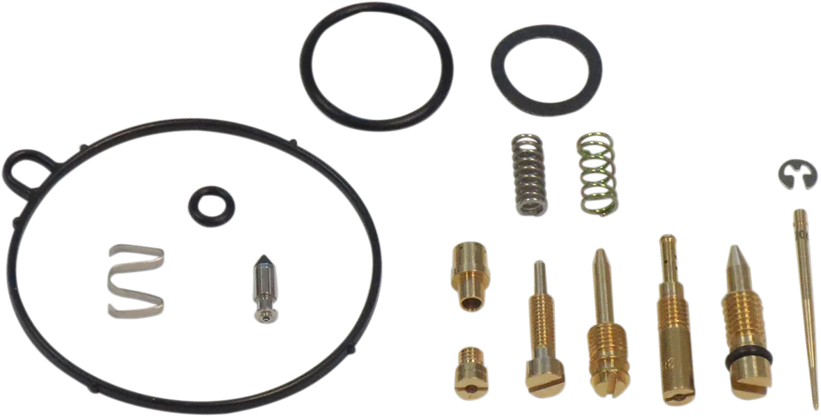 Carburetor Repair Kit
