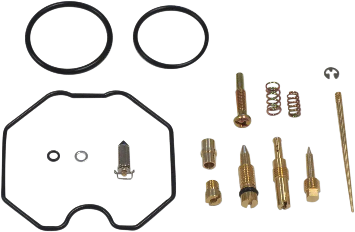 Carburetor Repair Kit