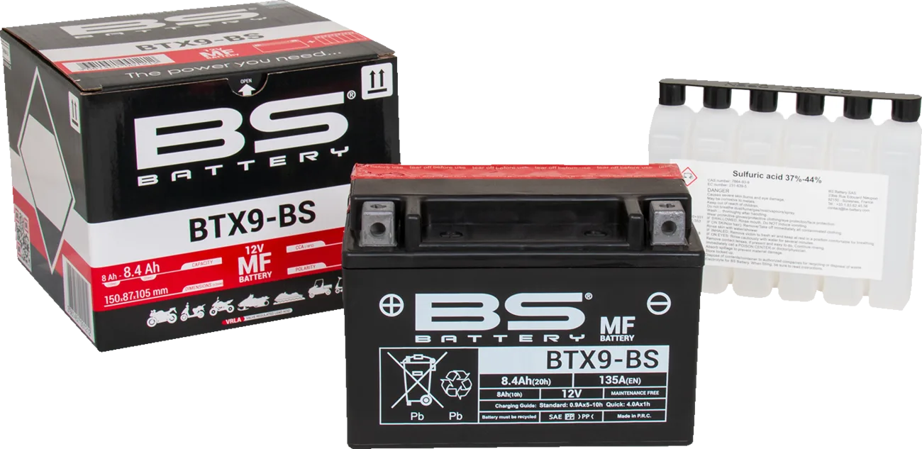 Maintenance-Free Battery