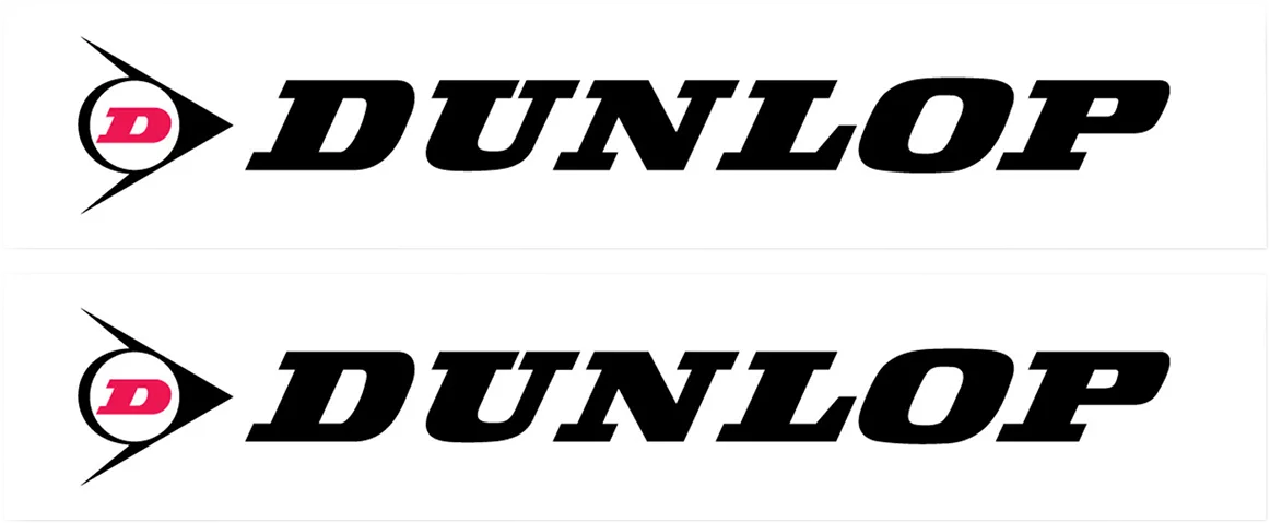 Fork and Swingarm Decals