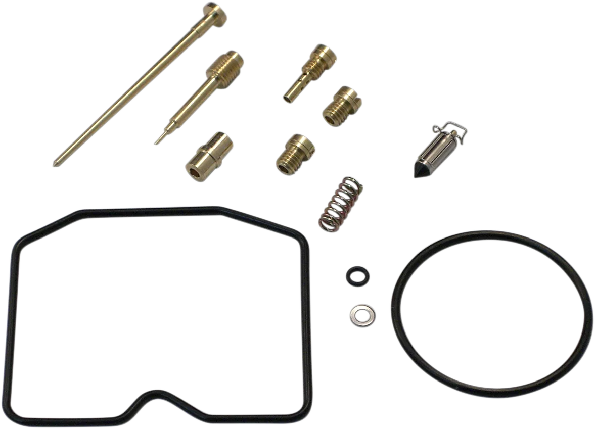 Carburetor Repair Kit