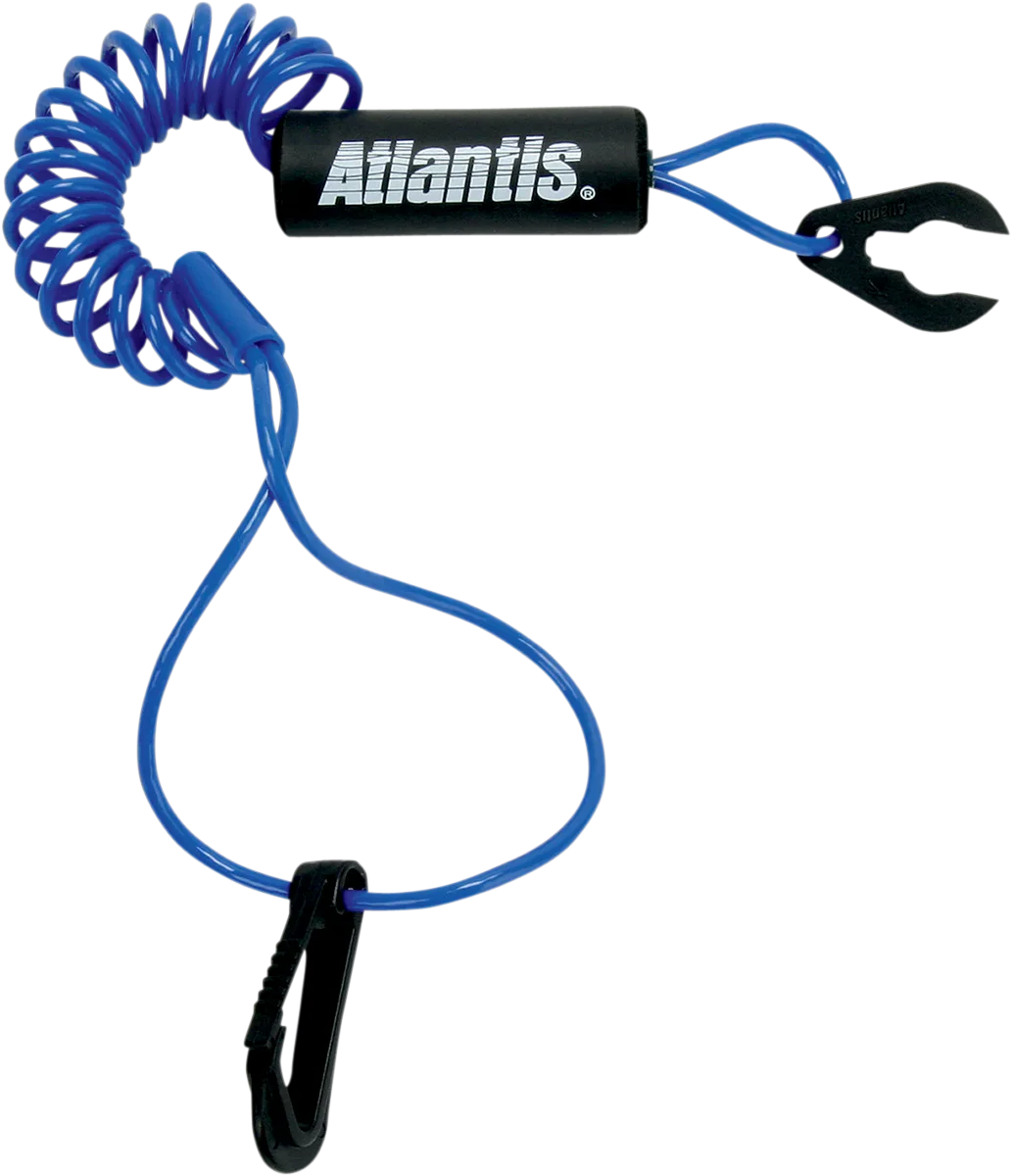 Lanyard