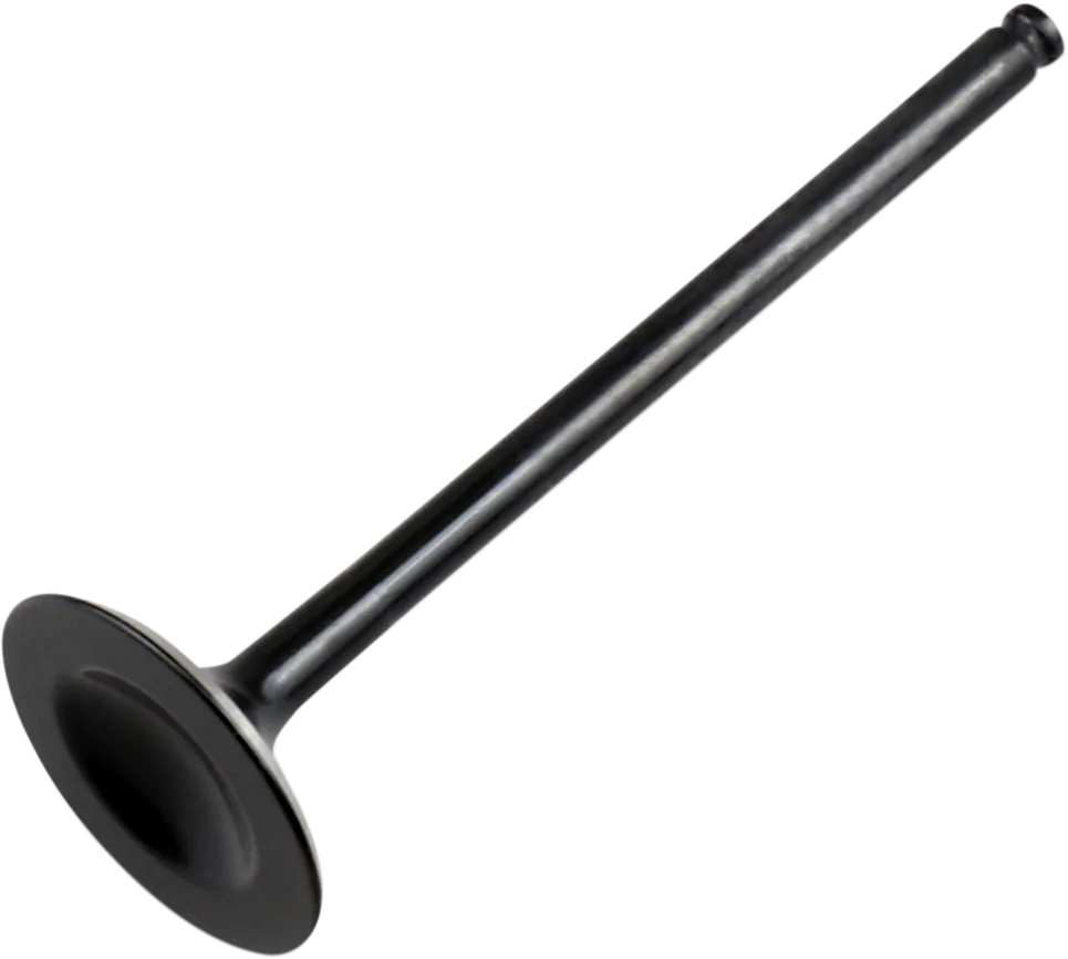 Replacement Valve