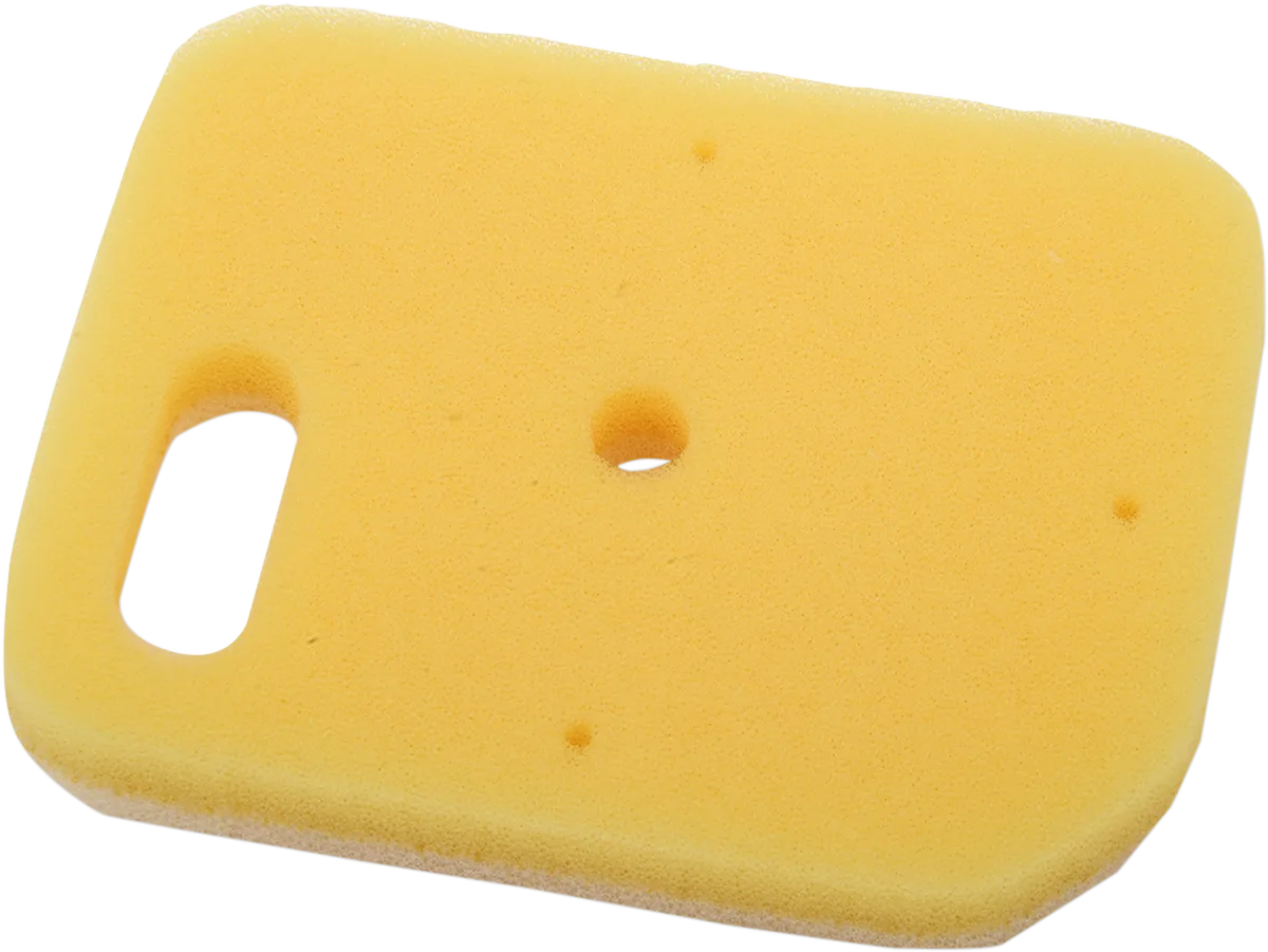 Foam Air Filter
