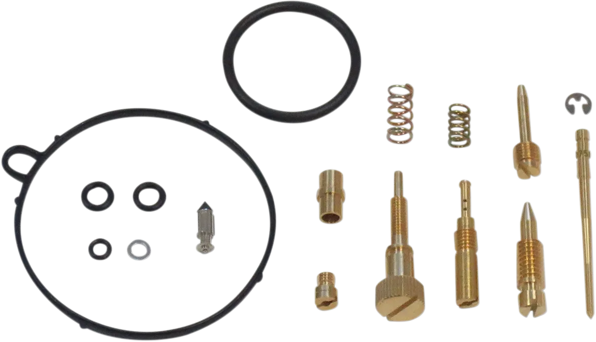 Carburetor Repair Kit