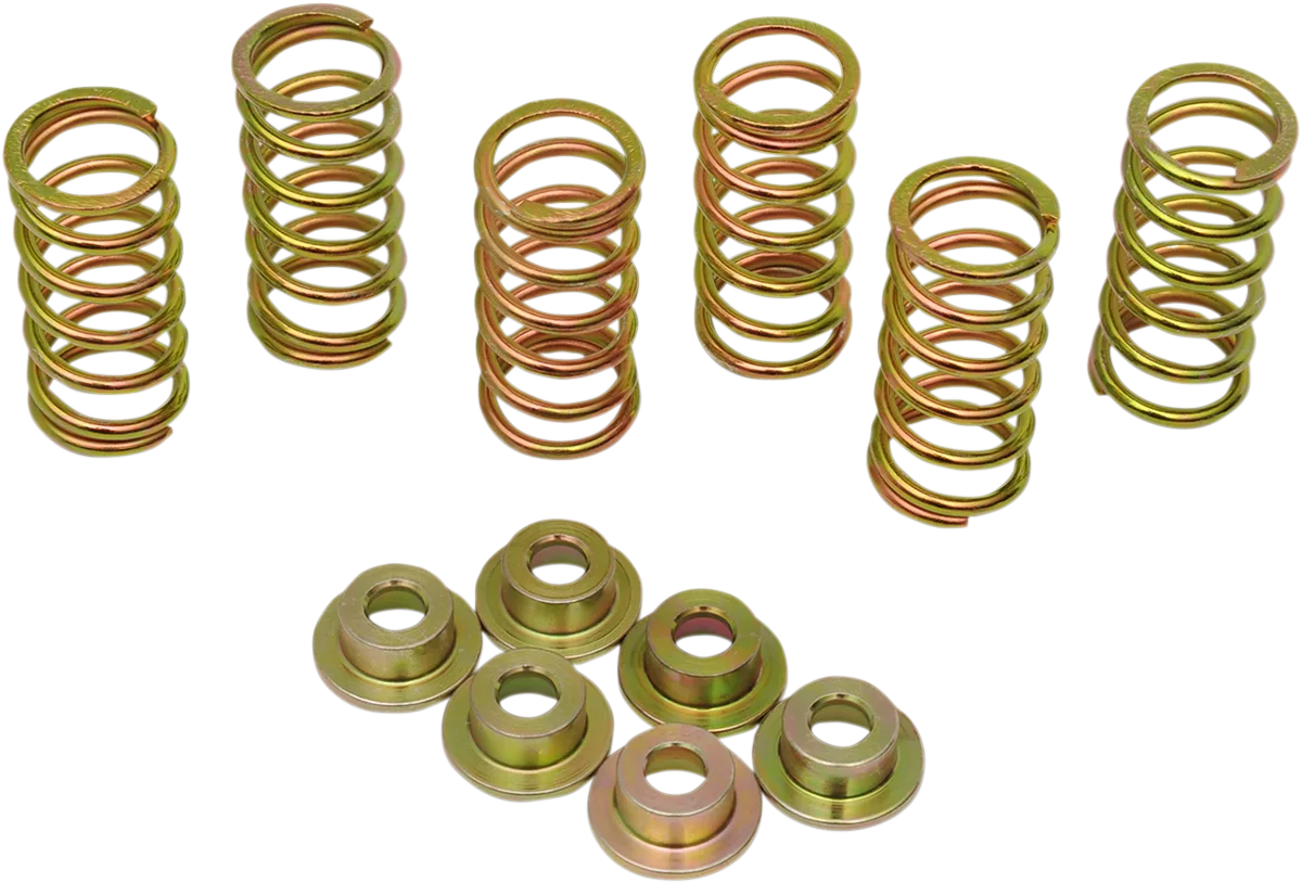 Clutch Spring Kit