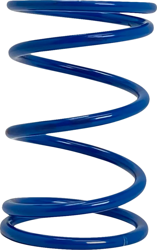 Polaris Primary Clutch Spring