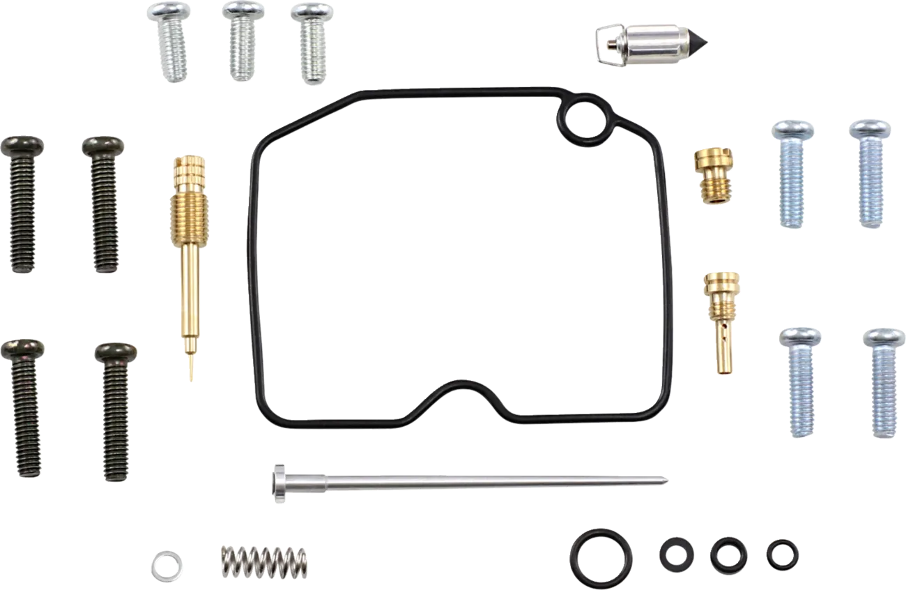 Carburetor Repair Kit