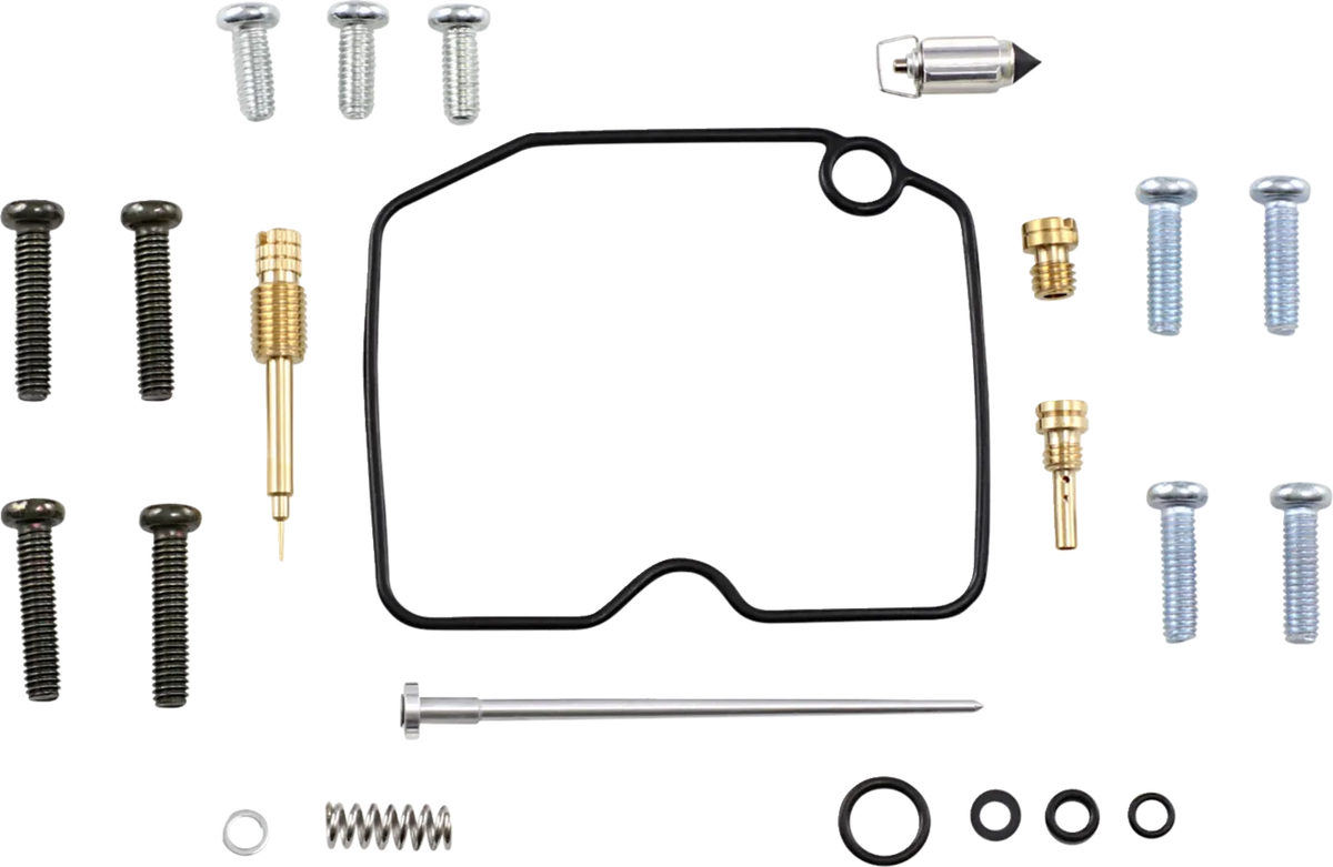 Carburetor Repair Kit