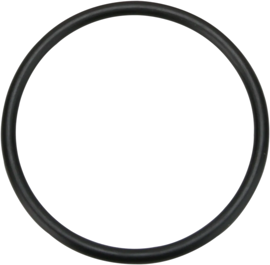 5th Gear O-Ring & Seal