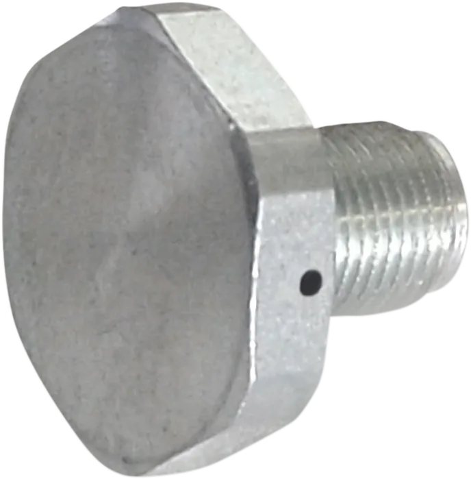 Upper Fork Tube Caps/Bolts — Standard