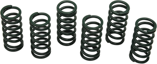 Clutch Spring Kit