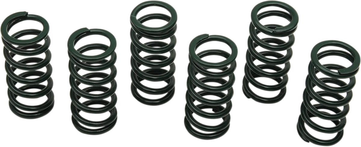 Clutch Spring Kit