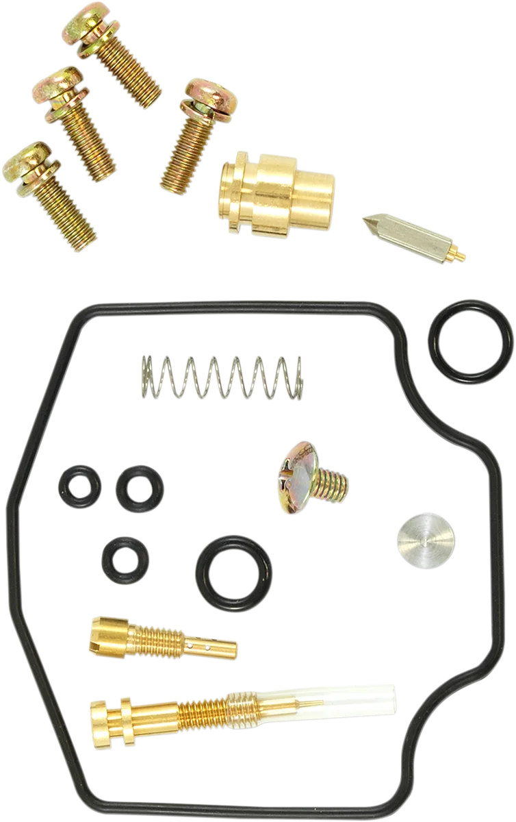 Carburetor Repair Kit
