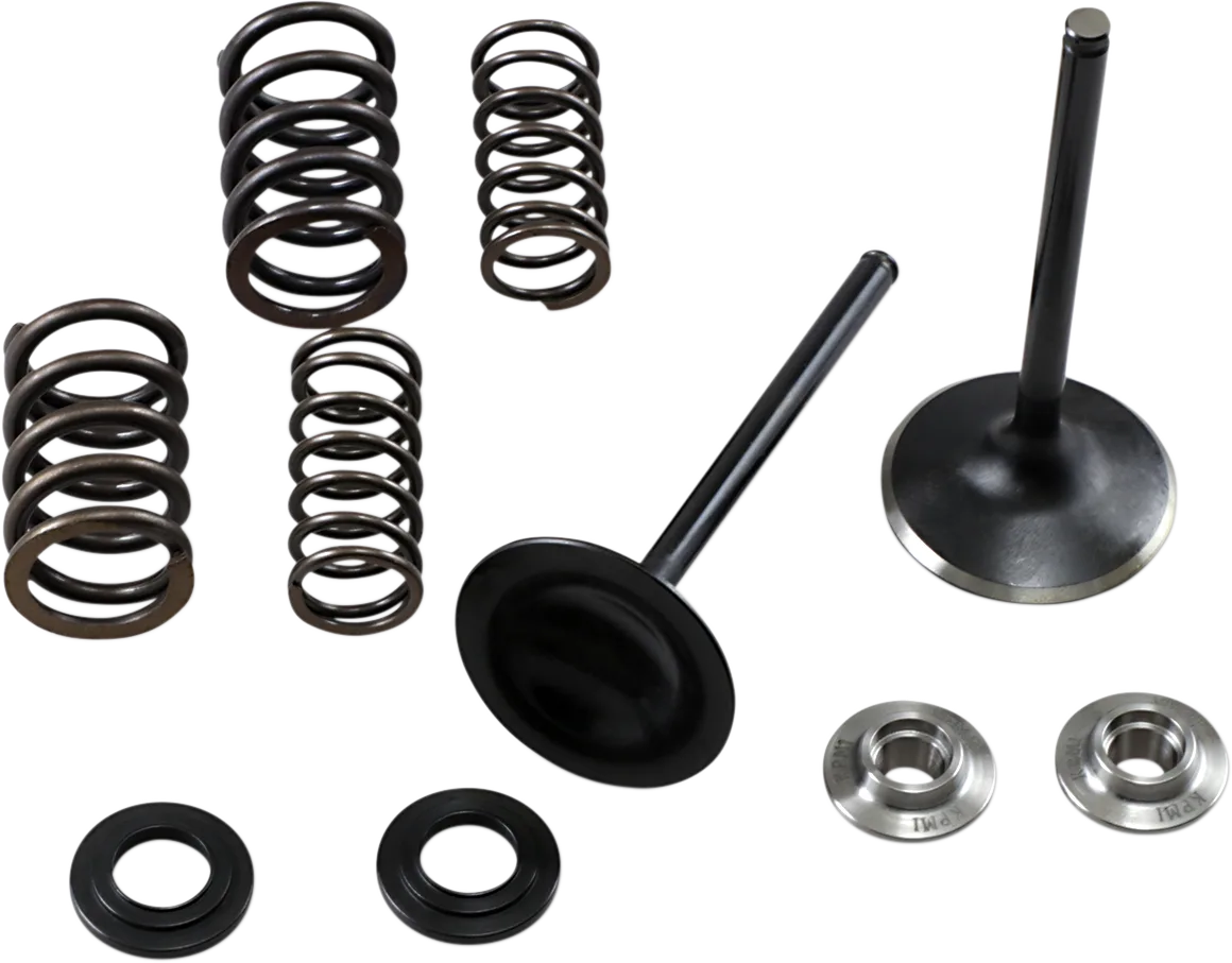 Intake Stainless Conversion Valve and Spring Kit