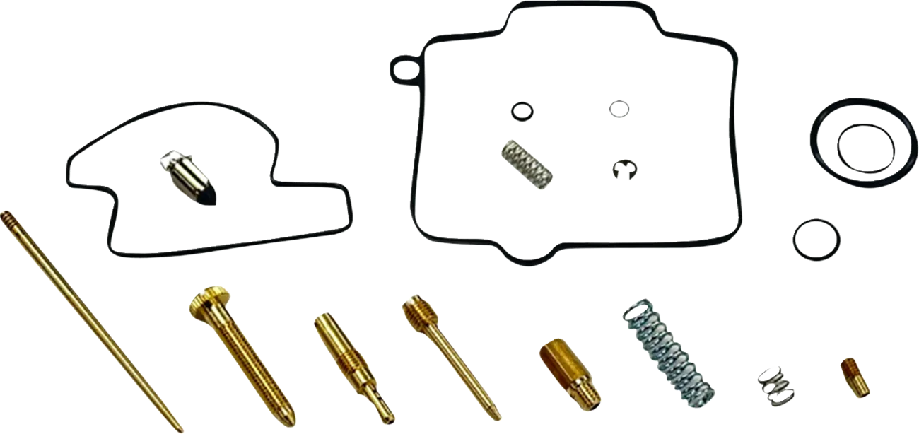 Carburetor Repair Kit