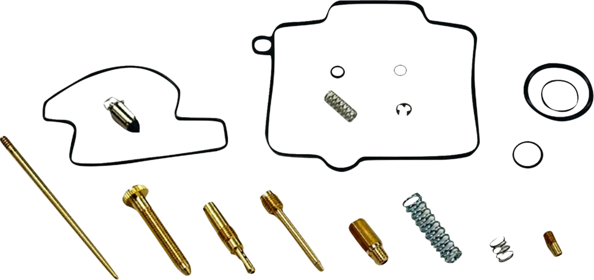 Carburetor Repair Kit
