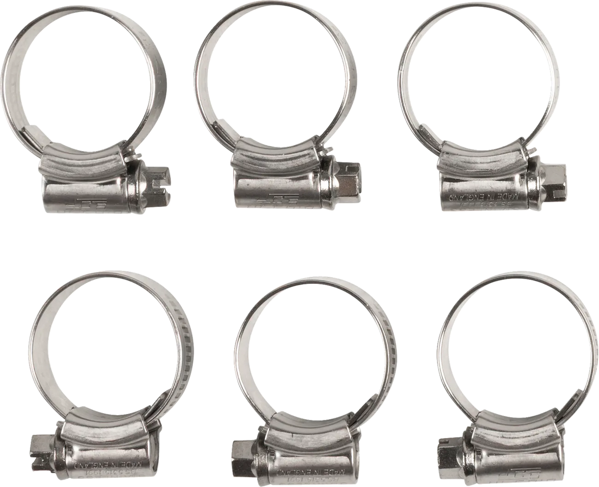 Radiator Hose Clamp Kit