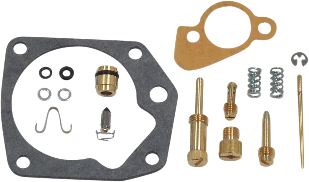 Carburetor Repair Kit