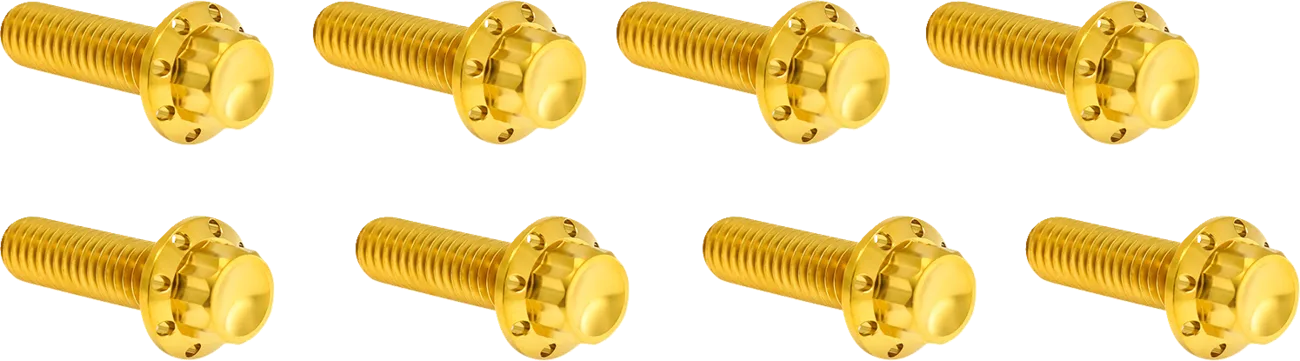 Lifter Block Titanium 12-Point Bolt Kit