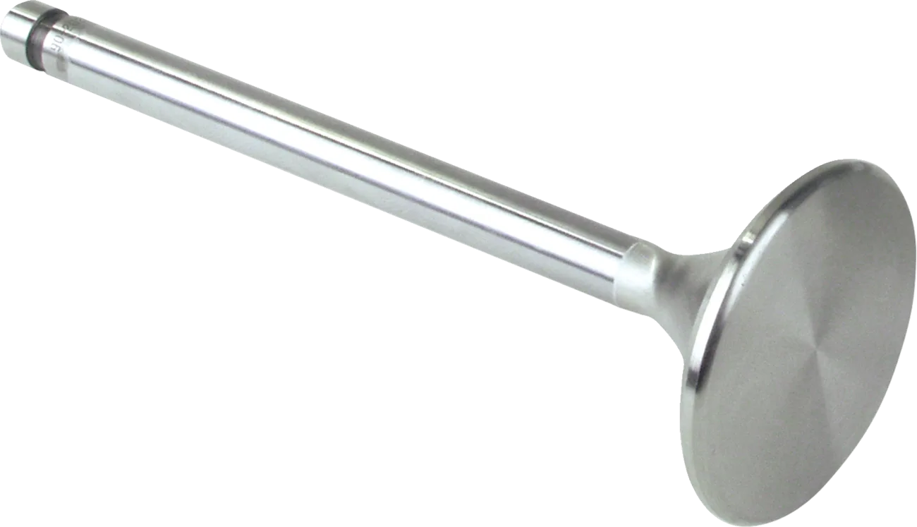 Replacement Stainless Steel Valves for S&S Heads