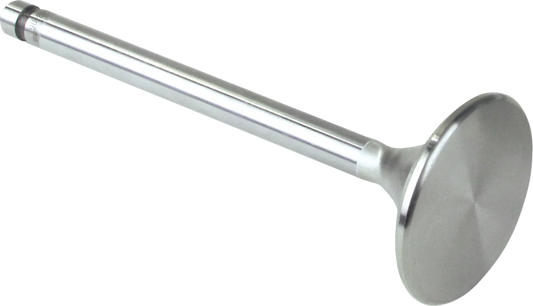 Replacement Stainless Steel Valves for S&S Heads