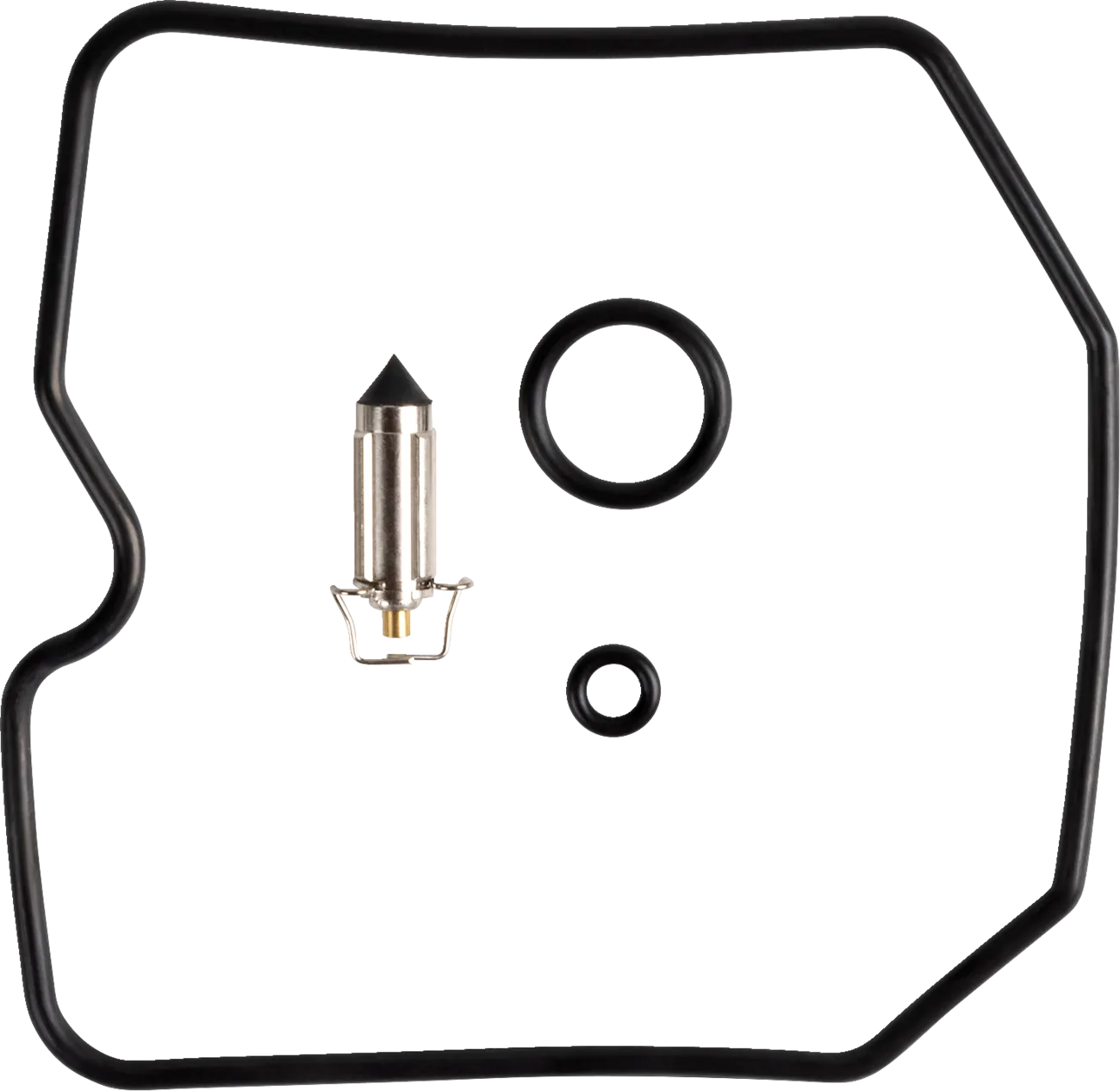 Carburetor Repair Kit