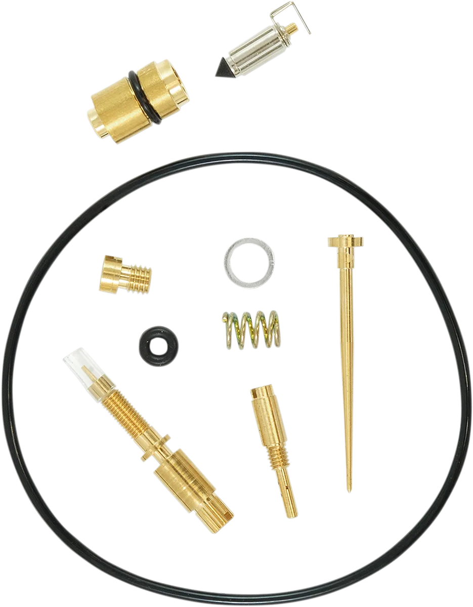 Carburetor Repair Kit
