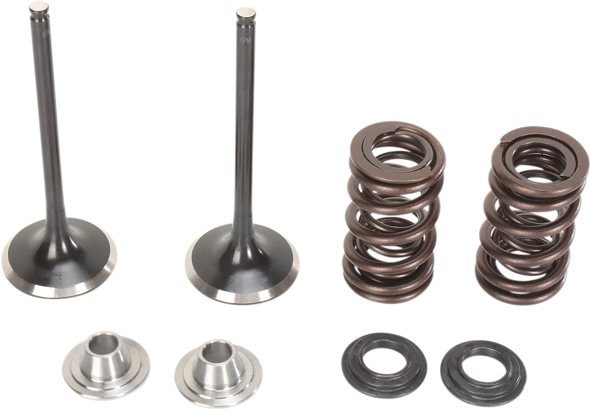 Intake Valve and Spring Kit