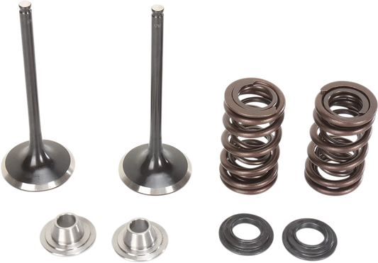 Intake Valve and Spring Kit