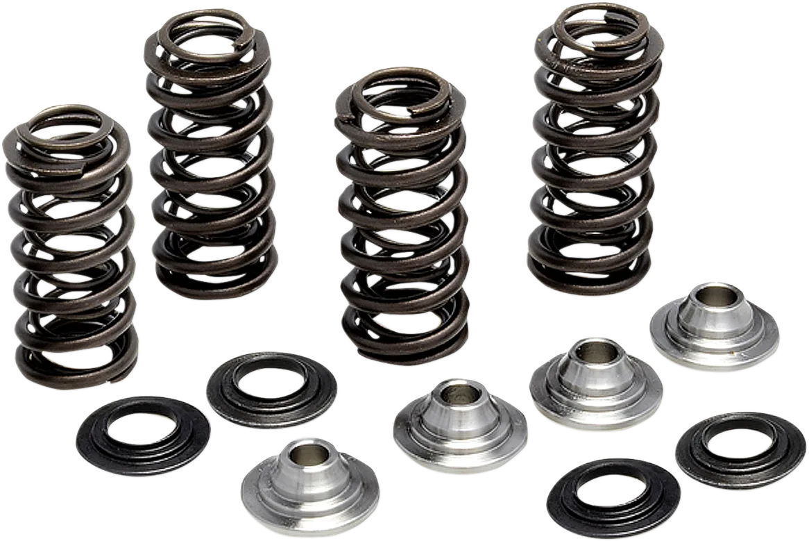 Valve Spring Kit