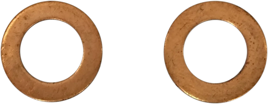 Fork Damper Tube Mount Washers
