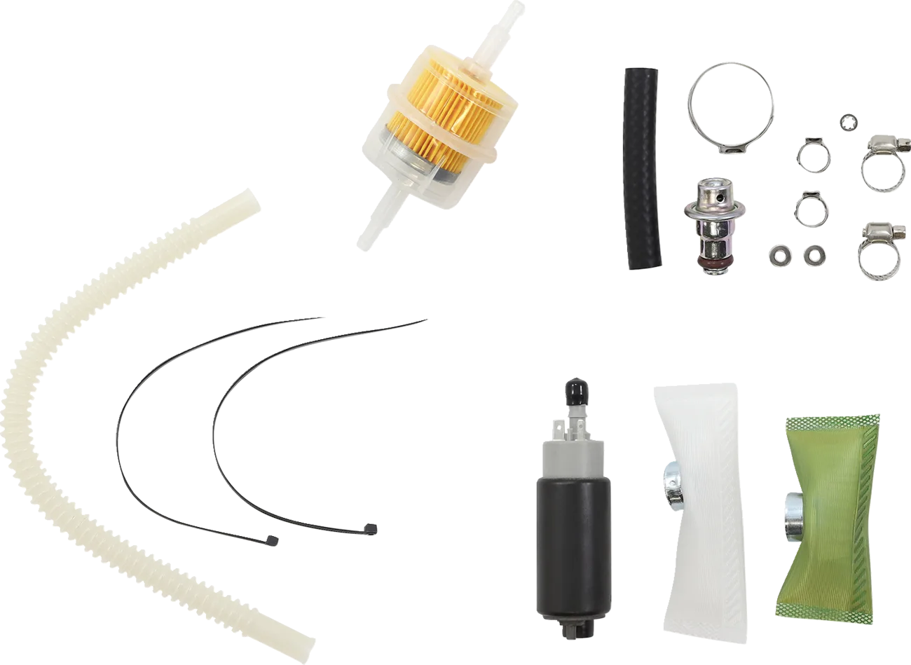 Electric Fuel Injection Fuel Pump Rebuild Kit