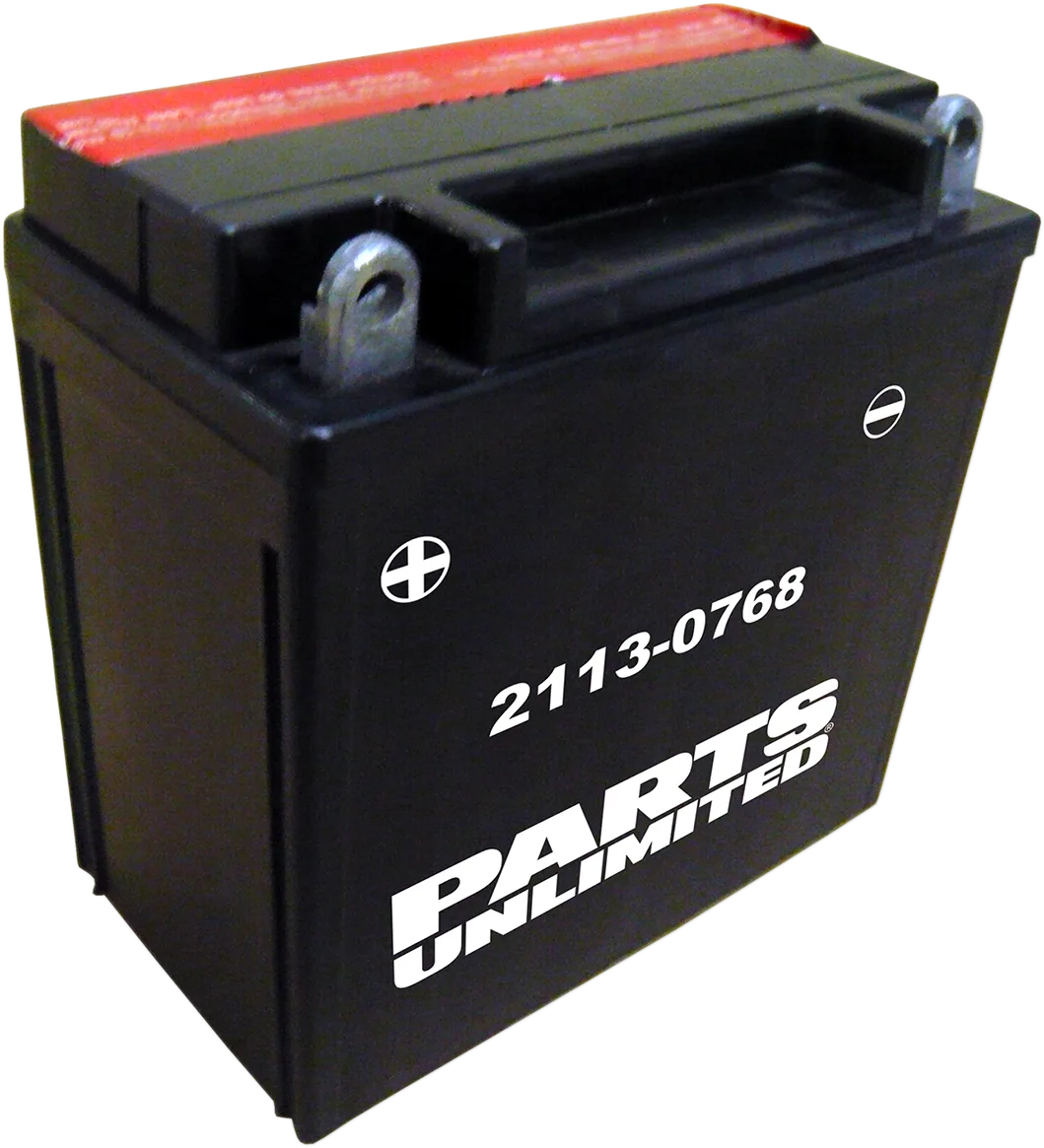 AGM Maintenance-Free Battery
