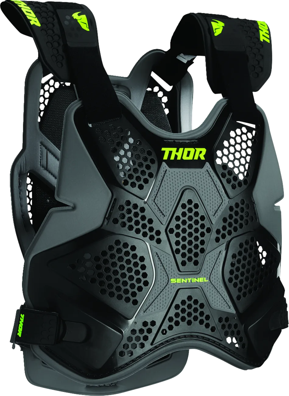 Sentinel Pro Guard