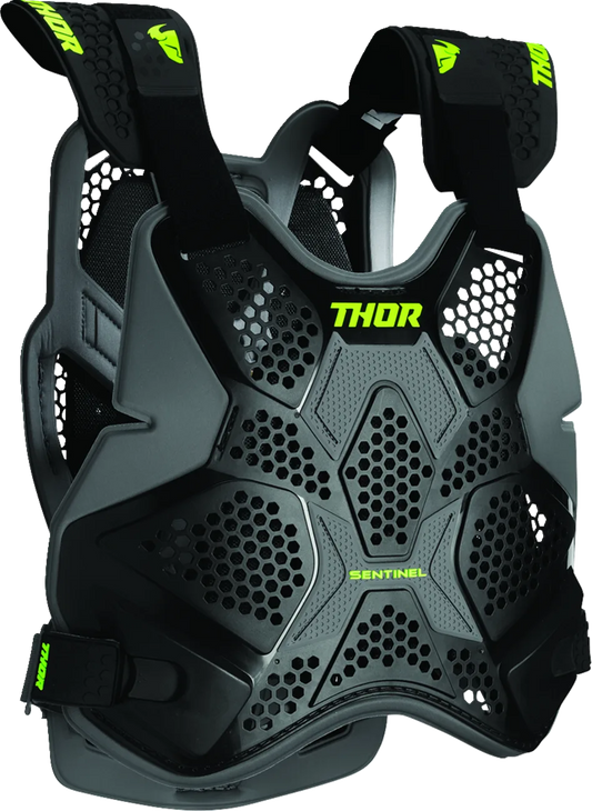 Sentinel Pro Guard