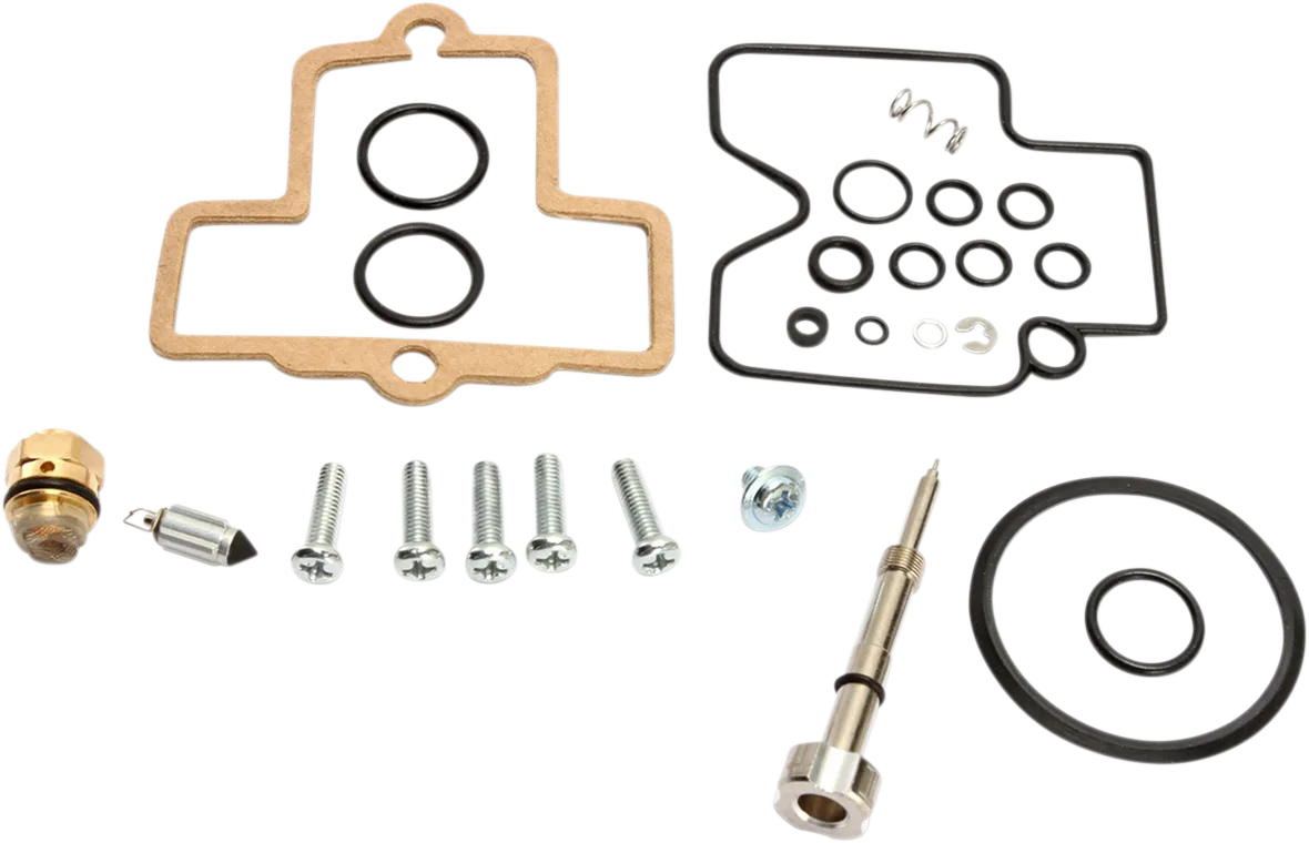 Carburetor Repair Kit