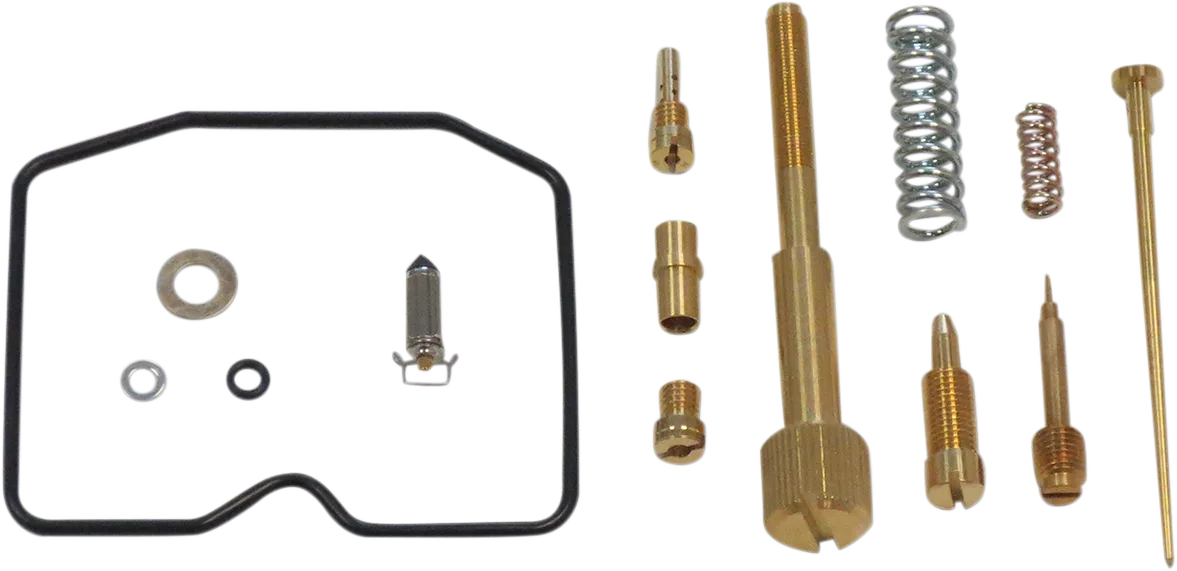 Carburetor Repair Kit