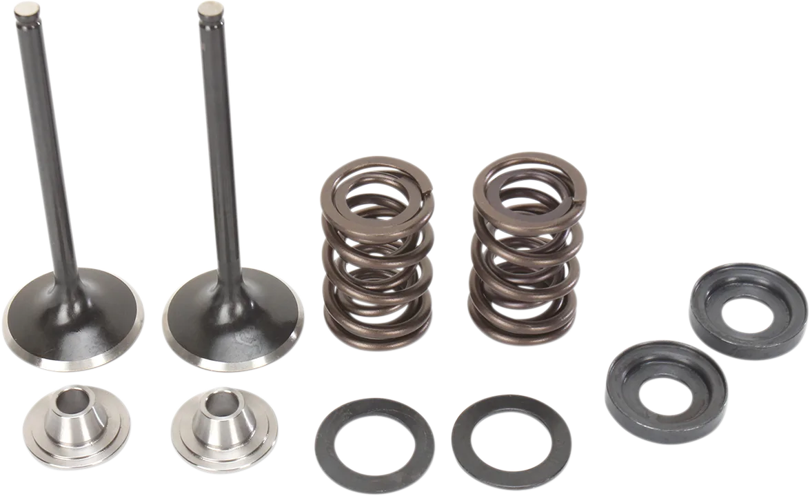Exhaust Valve and Spring Kit