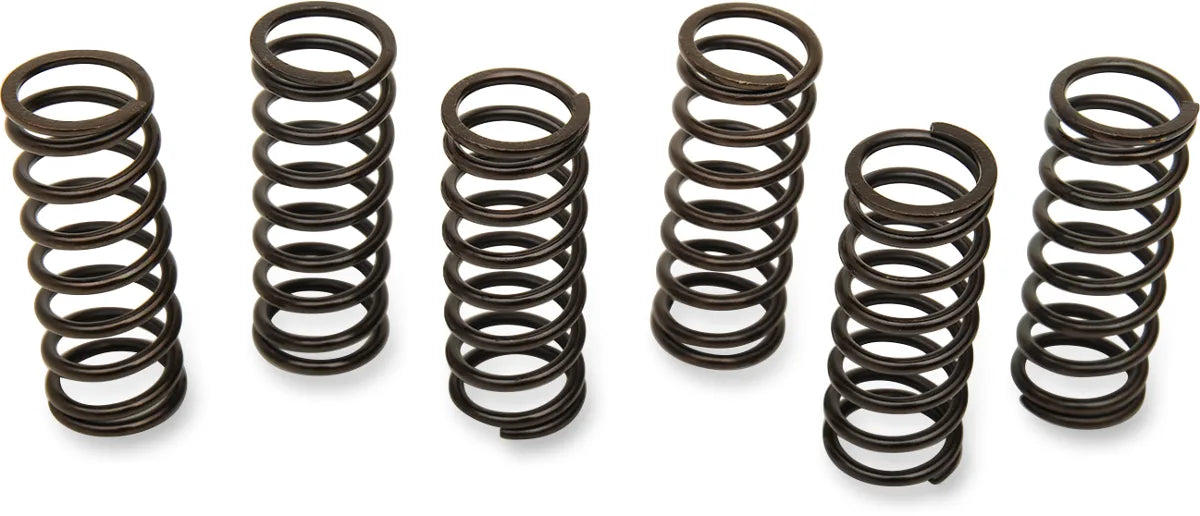 Clutch Spring Kit