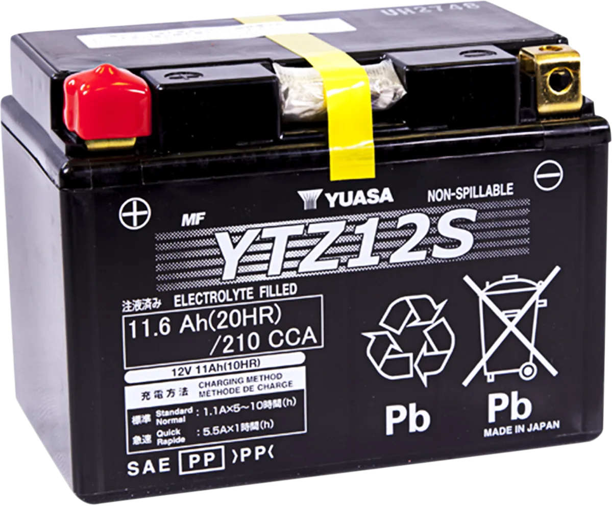 High Performance AGM Maintenance-Free Battery