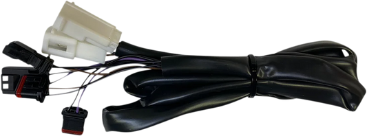 Integrated Taillight Harness