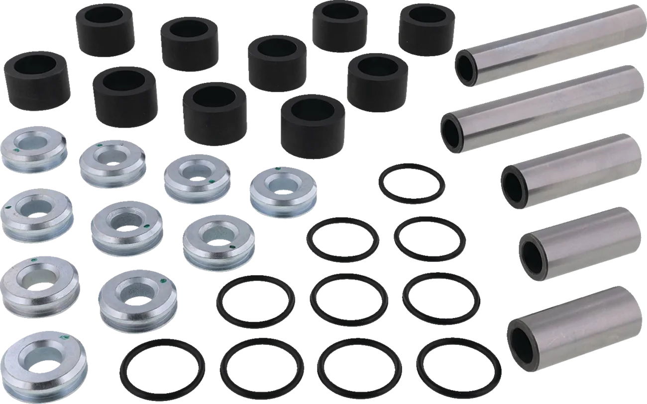 Rear Independent Suspension Linkage Rebuild Kit