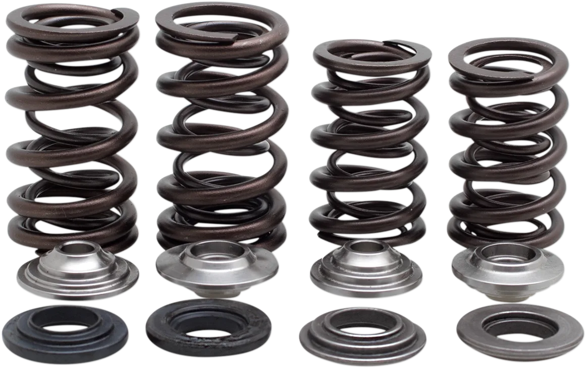 Lightweight Racing Valve Spring Kit