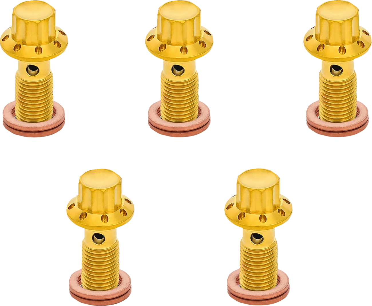 12-Point Titanium Banjo Bolts