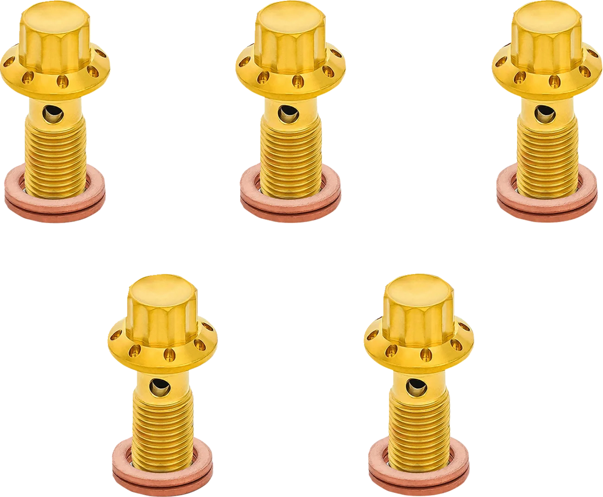 12-Point Titanium Banjo Bolts