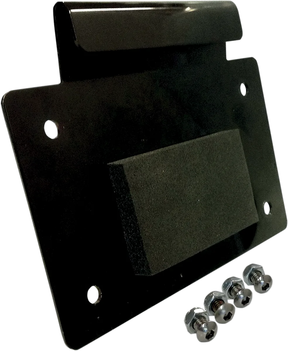 License Plate Mount