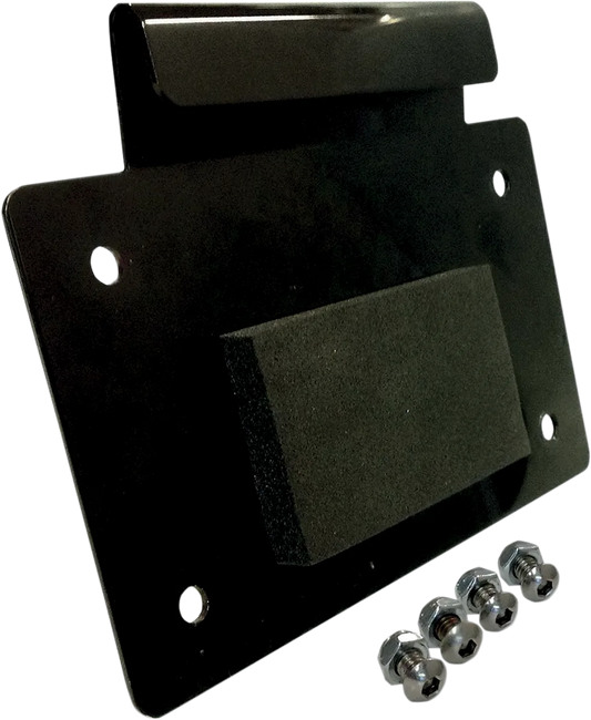 License Plate Mount